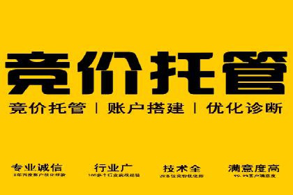 创新SEM推广优化：企业成功案例剖析